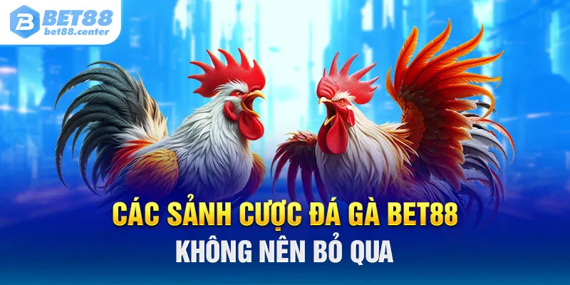 Các sảnh cược đá gà BET88 không nên bỏ qua