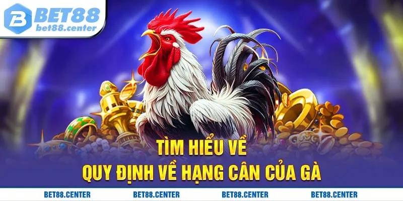 Tìm hiểu về quy định về hạng cân của gà