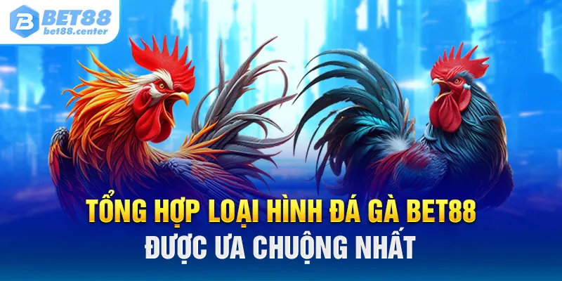 Tổng hợp loại hình đá gà BET88 được ưa chuộng nhất