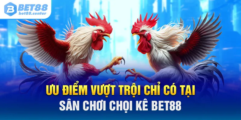 Ưu điểm vượt trội chỉ có tại sân chơi chọi kê BET88