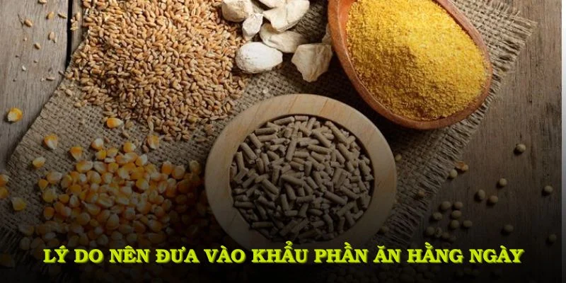 Ngũ cốc đá gà gồm những gì và lý do nên đưa vào khẩu phần hàng ngày